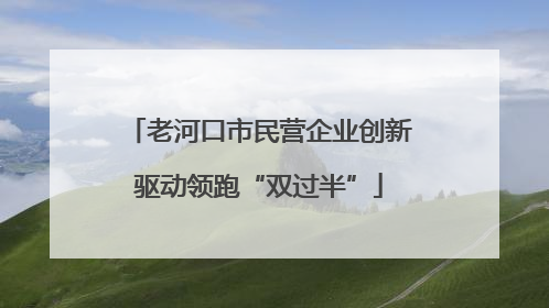 老河口市民营企业创新驱动领跑“双过半”