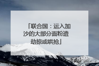 联合国：运入加沙的大部分面粉遭劫掠或哄抢