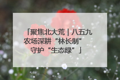 聚焦北大荒｜八五九农场深耕“林长制” 守护“生态绿”