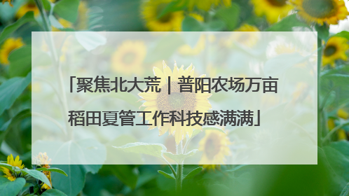 聚焦北大荒｜普阳农场万亩稻田夏管工作科技感满满
