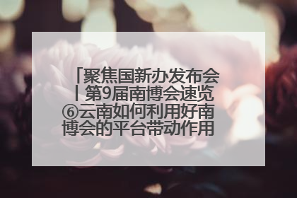 聚焦国新办发布会丨第9届南博会速览⑥云南如何利用好南博会的平台带动作用，深化与南亚国家的交流与合作？