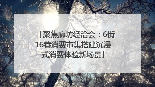 聚焦廊坊经洽会：6街16巷消费市集搭建沉浸式消费体验新场景