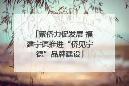 聚侨力促发展 福建宁德推进“侨见宁德”品牌建设
