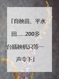 育秧苗、平水田……200多台插秧机只等一声令下