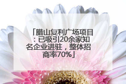 腊山复利广场项目：已吸引20余家知名企业进驻，整体招商率70%