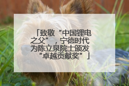 致敬“中国锂电之父”，宁德时代为陈立泉院士颁发“卓越贡献奖”