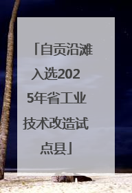 自贡沿滩入选2025年省工业技术改造试点县