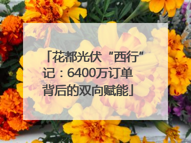花都光伏“西行”记：6400万订单背后的双向赋能