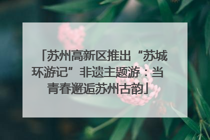 苏州高新区推出“苏城环游记”非遗主题游：当青春邂逅苏州古韵