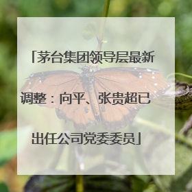 茅台集团领导层最新调整：向平、张贵超已出任公司党委委员