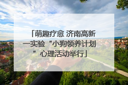 萌趣疗愈 济南高新一实验“小狗领养计划”心理活动举行