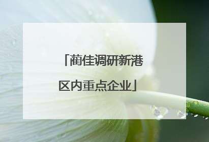 蔺佳调研新港区内重点企业
