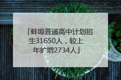 蚌埠普通高中计划招生31650人，较上年扩增2734人