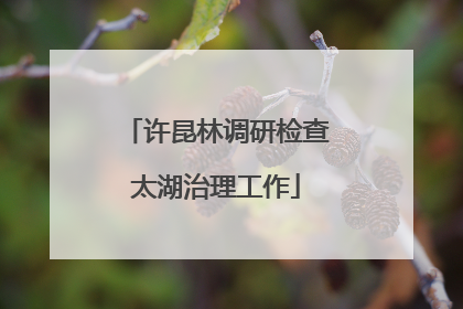 许昆林调研检查太湖治理工作