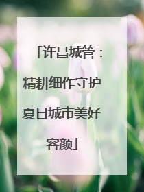 许昌城管：精耕细作守护夏日城市美好容颜