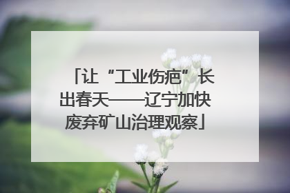 让“工业伤疤”长出春天——辽宁加快废弃矿山治理观察