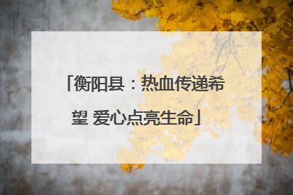衡阳县：热血传递希望 爱心点亮生命