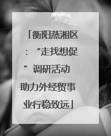 衡阳蒸湘区：“走找想促”调研活动 助力外经贸事业行稳致远