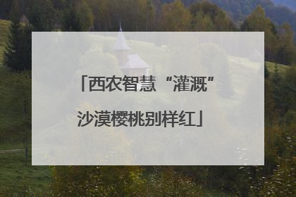 西农智慧“灌溉” 沙漠樱桃别样红