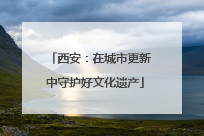 西安：在城市更新中守护好文化遗产