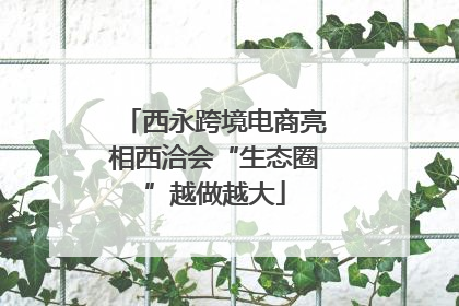 西永跨境电商亮相西洽会“生态圈”越做越大