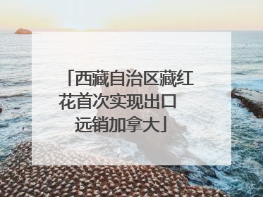 西藏自治区藏红花首次实现出口 远销加拿大