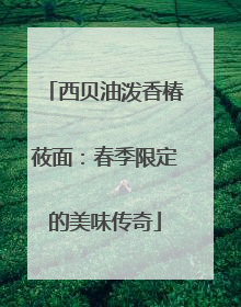 西贝油泼香椿莜面：春季限定的美味传奇