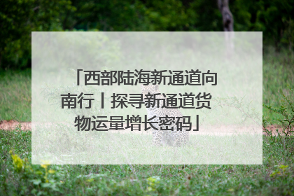 西部陆海新通道向南行丨探寻新通道货物运量增长密码