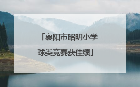 襄阳市昭明小学球类竞赛获佳绩