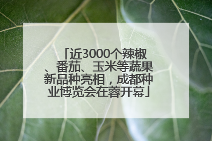 近3000个辣椒、番茄、玉米等蔬果新品种亮相，成都种业博览会在蓉开幕