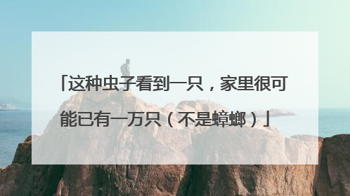 这种虫子看到一只，家里很可能已有一万只（不是蟑螂）