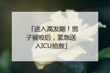 进入高发期！男子被咬后，紧急送入ICU抢救