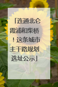连通北仑霞浦和柴桥！这条城市主干路规划选址公示