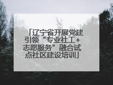 辽宁省开展党建引领“专业社工+志愿服务”融合试点社区建设培训