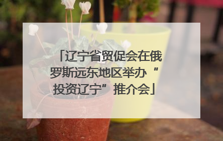 辽宁省贸促会在俄罗斯远东地区举办“投资辽宁”推介会