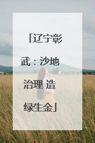 辽宁彰武：沙地治理 造绿生金