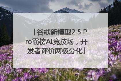 谷歌新模型2.5 Pro霸榜AI竞技场，开发者评价两极分化