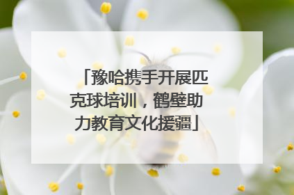 豫哈携手开展匹克球培训，鹤壁助力教育文化援疆