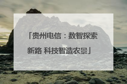 贵州电信：数智探索新路 科技智造农景