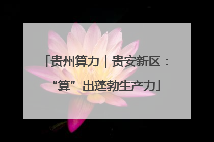 贵州算力｜贵安新区：“算”出蓬勃生产力