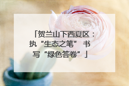 贺兰山下西夏区：执“生态之笔” 书写“绿色答卷”