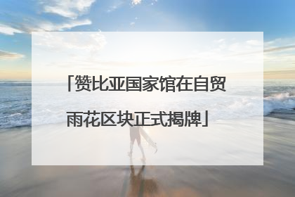 赞比亚国家馆在自贸雨花区块正式揭牌