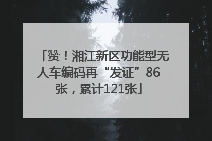 赞！湘江新区功能型无人车编码再“发证”86张，累计121张