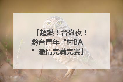 超燃！台盘夜！黔台青年“村BA”激情完满完赛