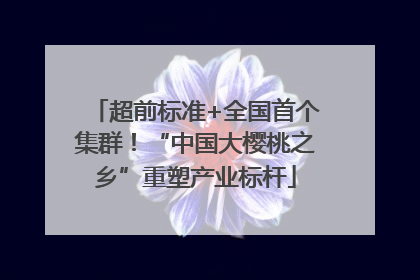 超前标准+全国首个集群！“中国大樱桃之乡”重塑产业标杆