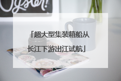 超大型集装箱船从长江下游出江试航