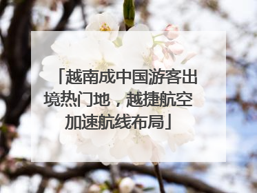 越南成中国游客出境热门地，越捷航空加速航线布局