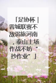 足协杯｜蓉城联赛不敌弱旅河南，泰山主场作战不妨“抄作业”