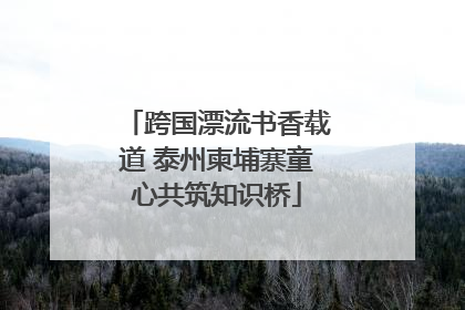 跨国漂流书香载道 泰州柬埔寨童心共筑知识桥