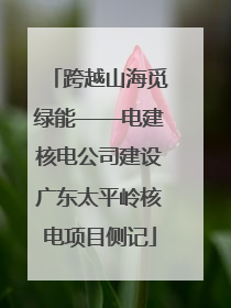 跨越山海觅绿能——电建核电公司建设广东太平岭核电项目侧记